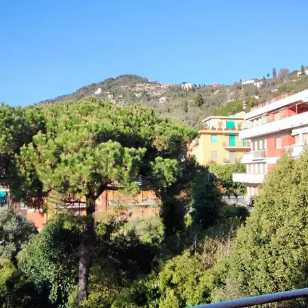 Apartment Il Pino